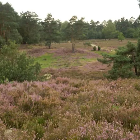 בית נופש Detached Kasch Soderstorf