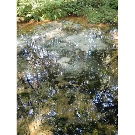 Detached Kasch * Soderstorf