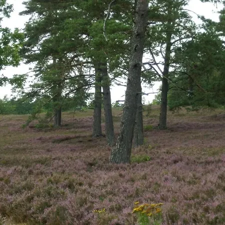 Detached Kasch בית נופש