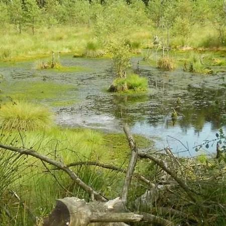 בית נופש Detached Kasch