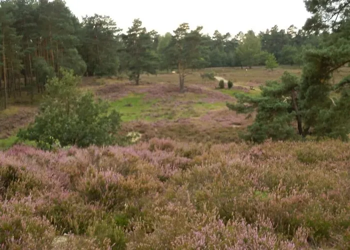 Σπίτι διακοπών Detached Kasch Soderstorf