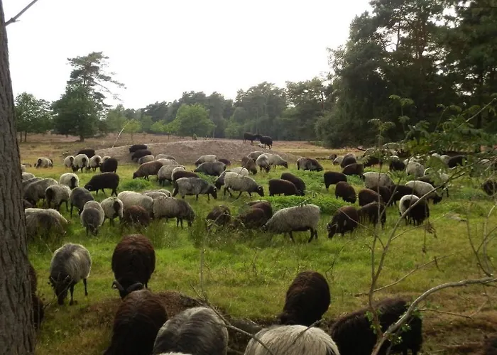 Detached Kasch Σπίτι διακοπών