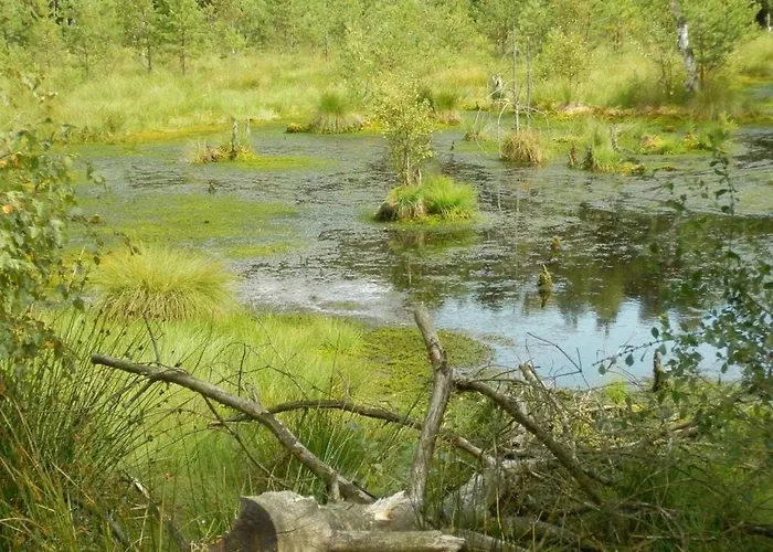 Σπίτι διακοπών Detached Kasch