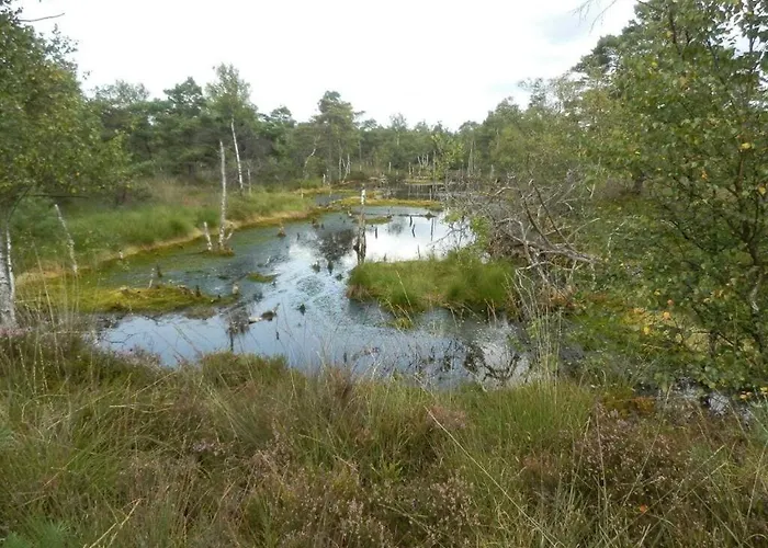 Detached Kasch Σπίτι διακοπών Soderstorf